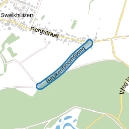 Beukenboomsweg
