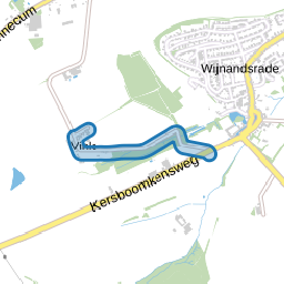 Vink