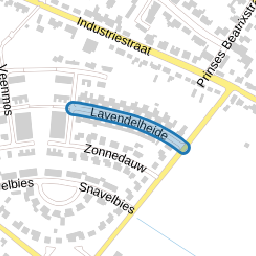 Lavendelheide