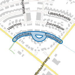 Snavelbies