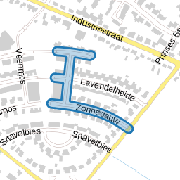 Zonnedauw