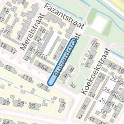 Buizerdstraat
