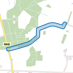 Bonnestaekebuske