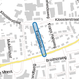 Frieselaan