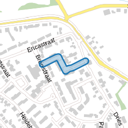 Korenbloemstraat