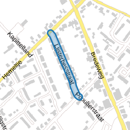 Lijsterbesstraat