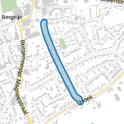 Dokter Rauppstraat