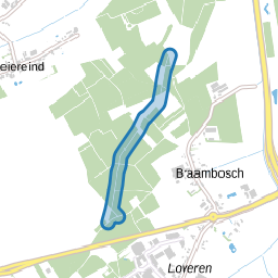 Elverberg