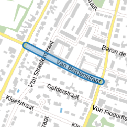 Van Bergenstraat