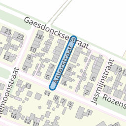 Anjerstraat