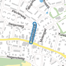 Zwaanstraat