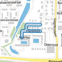 Hazelnoot