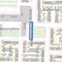 Poolsterstraat