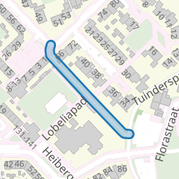 Ranonkelpad