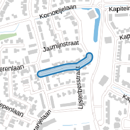 Goudenregenstraat