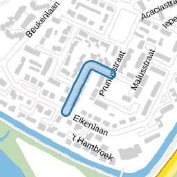 Goudenregenstraat