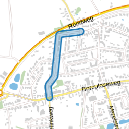 Dumasweg