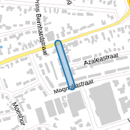 Jasmijnstraat