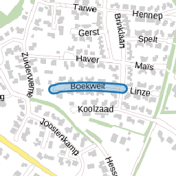 Boekweit