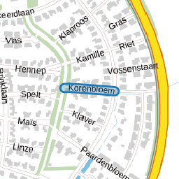 Korenbloem