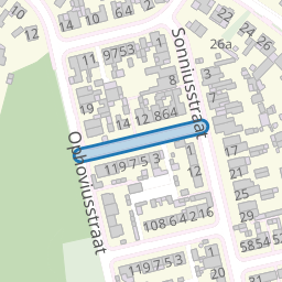 Basilius van Bruggestraat