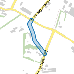 Braaksesteeg