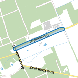 Palmenweg