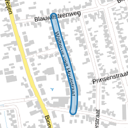 Walterus van Houtstraat