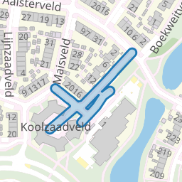Koolzaadveld