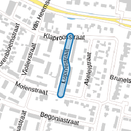 Lupinestraat