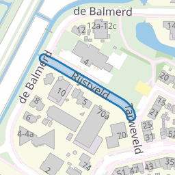 Rijstveld