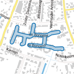 de Bongerd