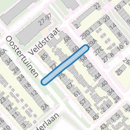 Amazonestraat