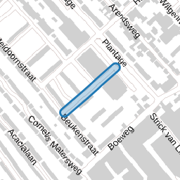 Dennenstraat