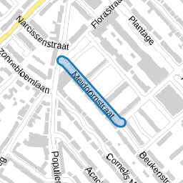 Meidoornstraat