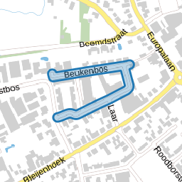 Beukenbos