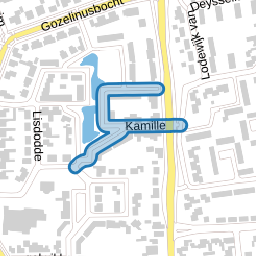 Kamille