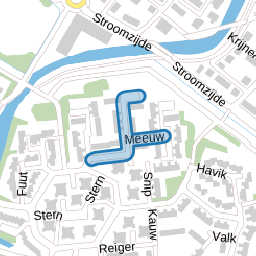Meeuw
