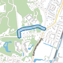 Dennenweg