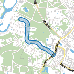 Rijperweg
