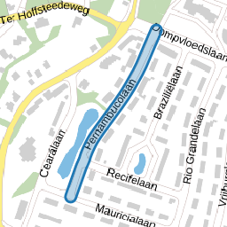 Pernambucolaan