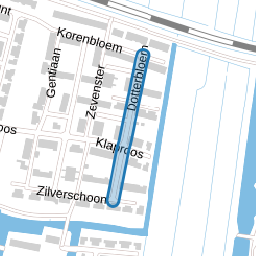 Dotterbloem