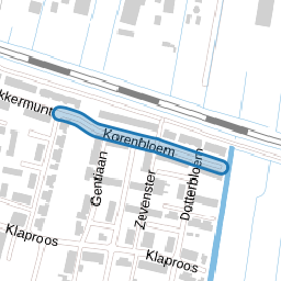 Korenbloem