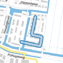 Ridderspoor
