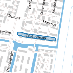Zilverschoon