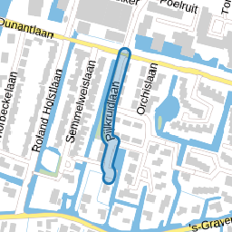 Pijlkruidlaan