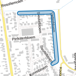 Dotterbloem
