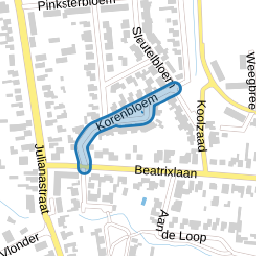 Korenbloem