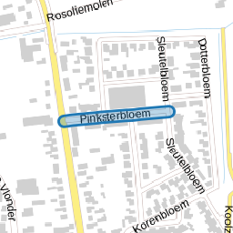 Pinksterbloem