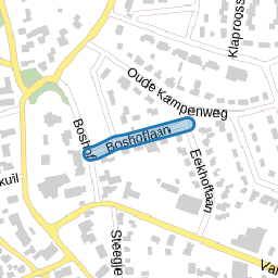 Boshoflaan